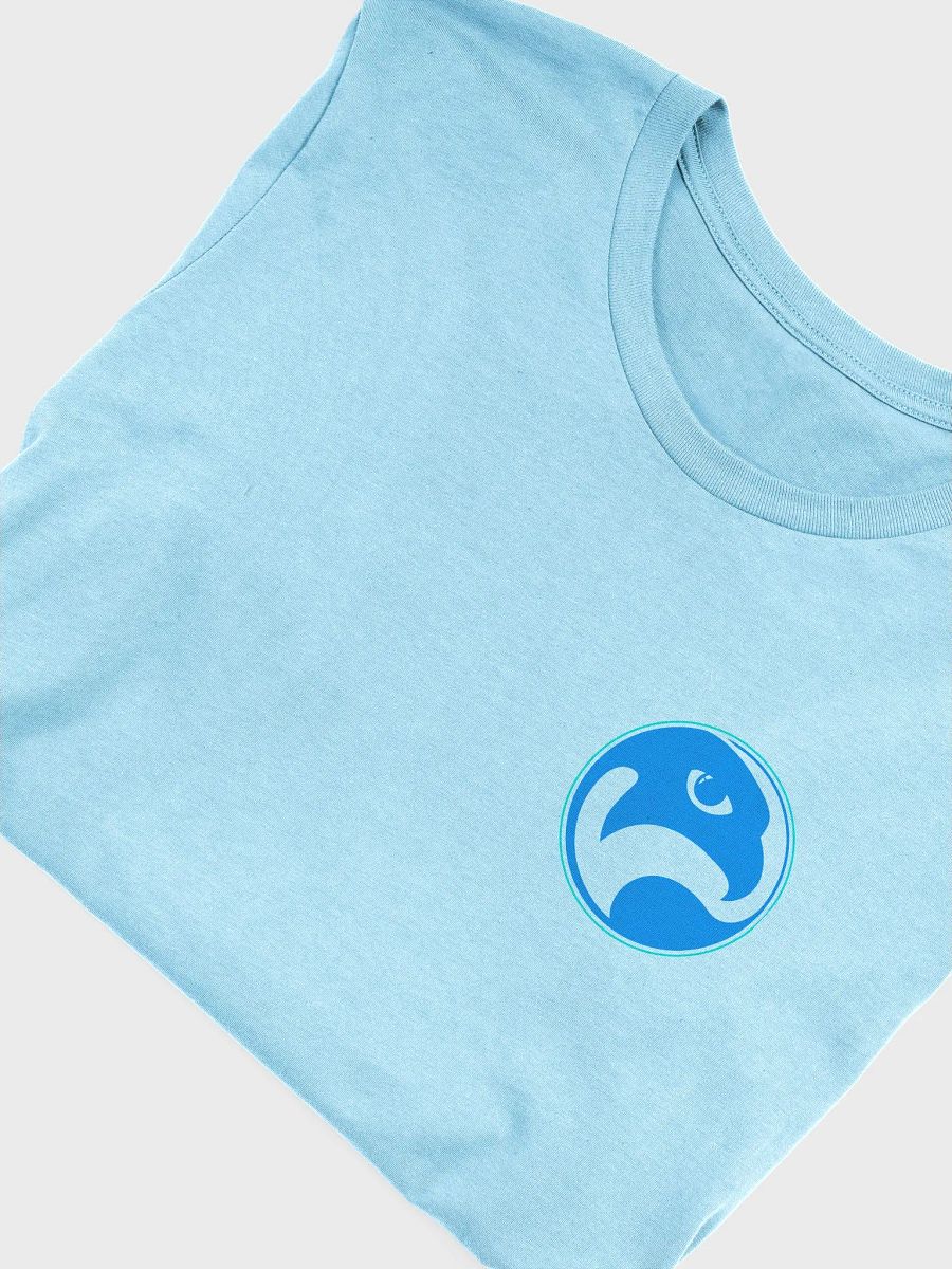 Falconeer T-Shirt product image (41)