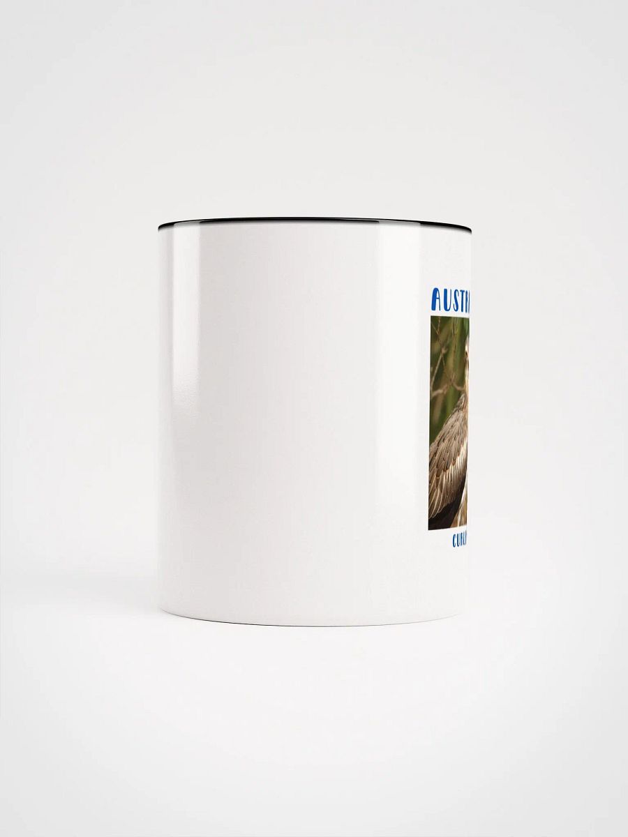 AUSTRALIAN FAUNA Curlew product image (65)