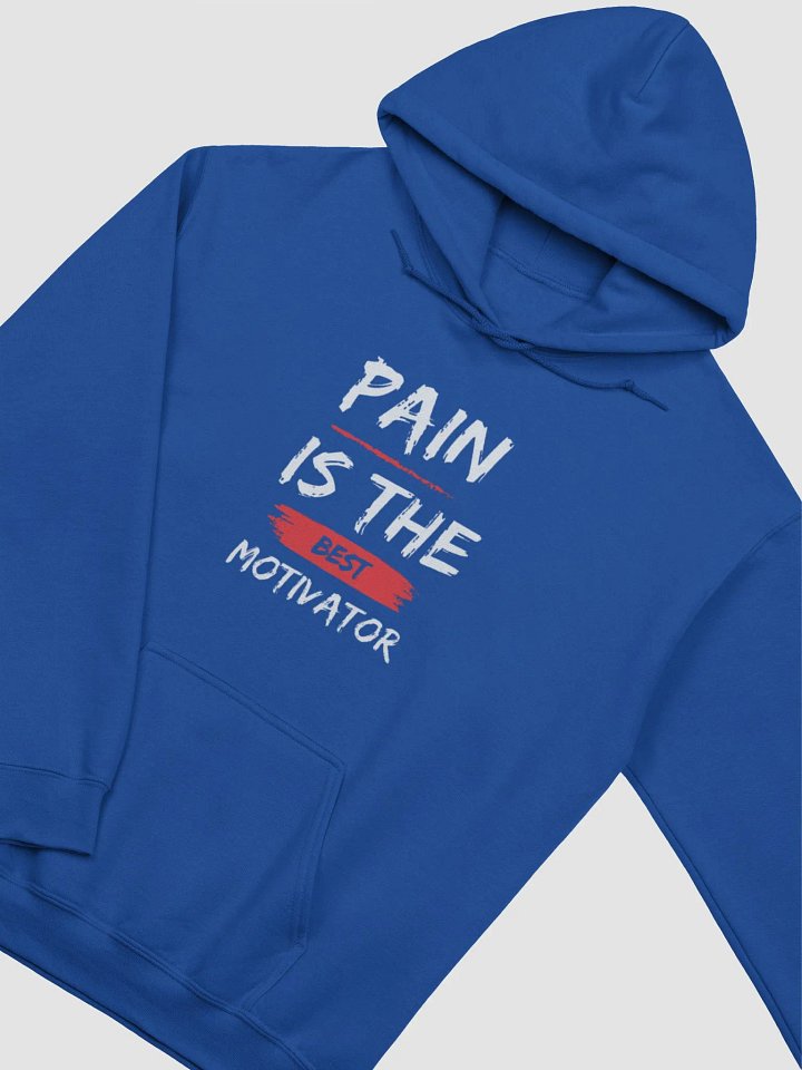 PAIN IS THE BEST MOTIVATOR Hoodie product image (82)