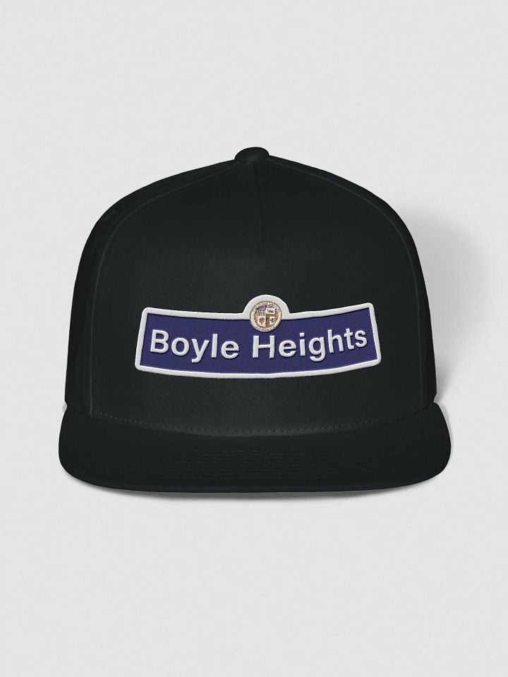 Snapback product image (1)