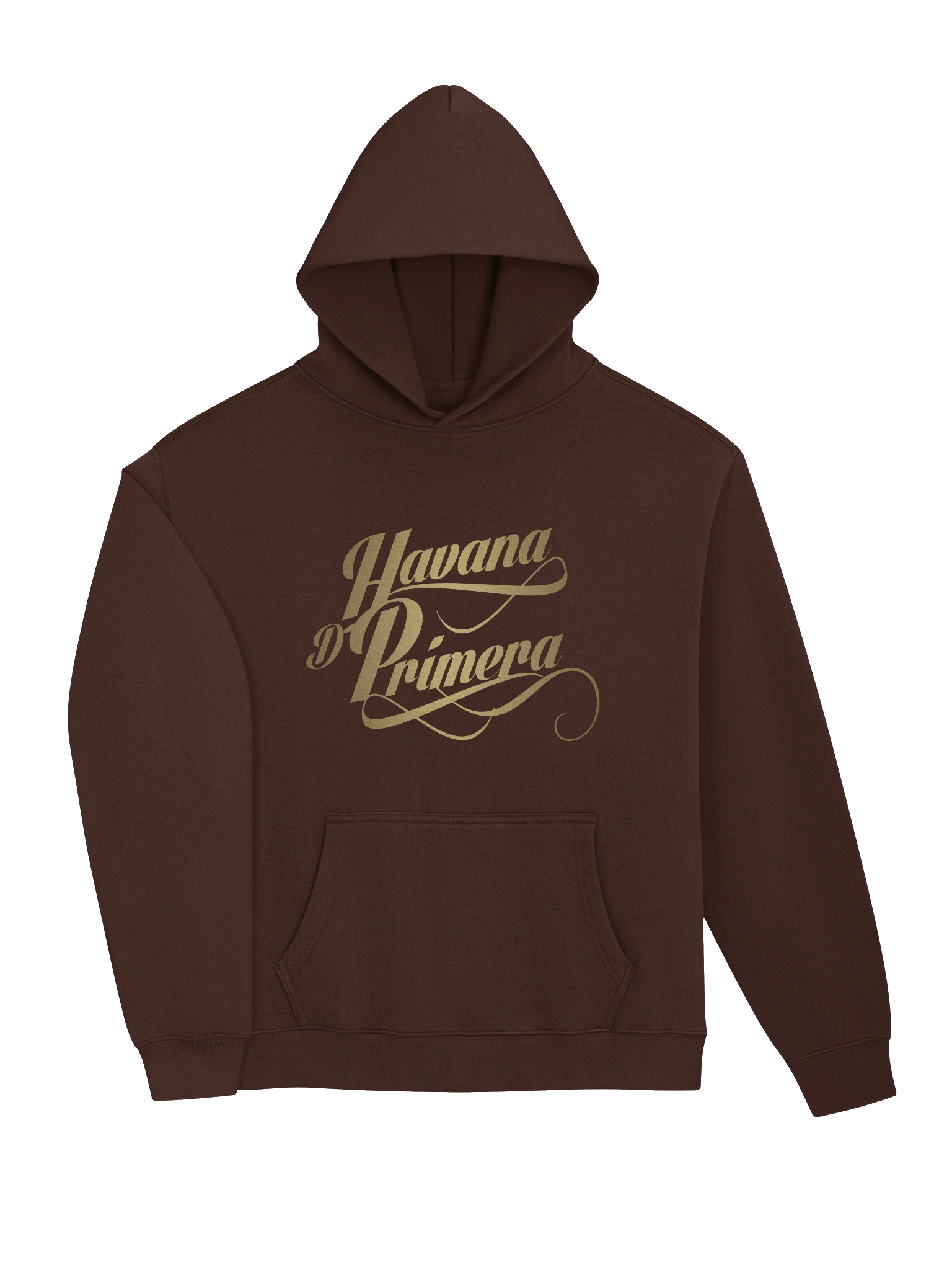 Havana D'Primera - Unisex Premium Oversized Hoodie product image (3)
