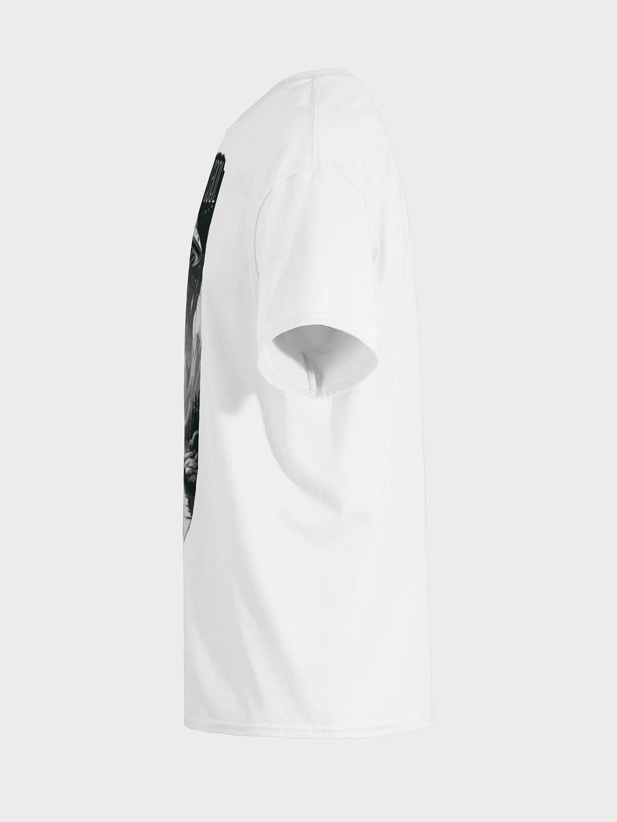 Gildan Heavyweight T-Shirt - Earth was cool product image (7)