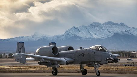 Honorary Warthog