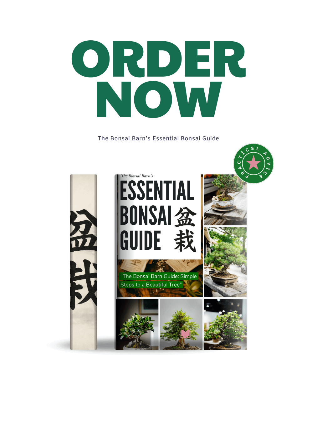 Essential Bonsai Guide : Bonsai for Beginners product image (5)