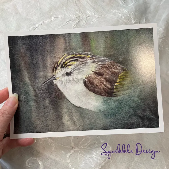 Supporter Print - Rifleman Bird product image (1)