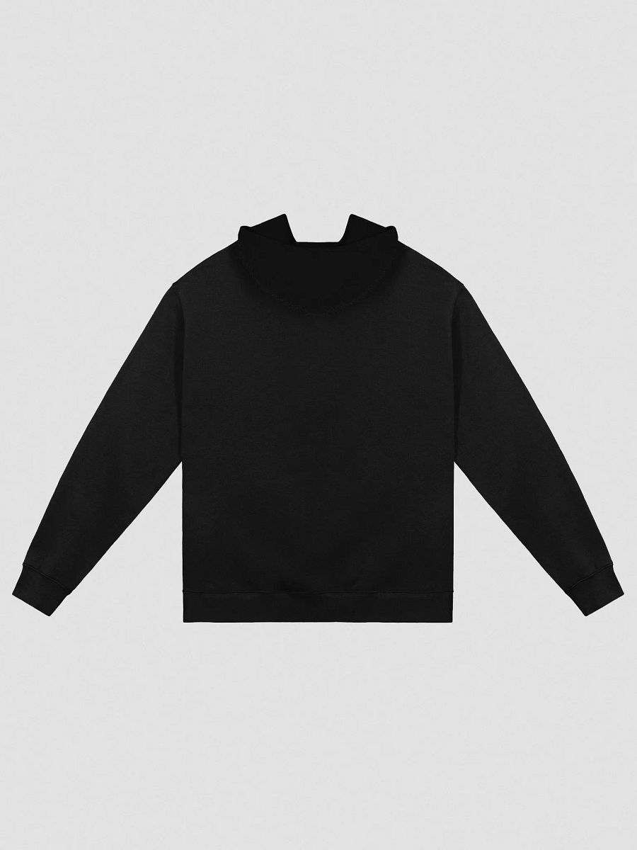 FYS Limited Edition Embroidered Hoodie product image (2)