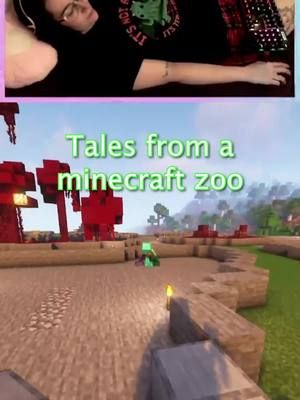 It is a good song... #twitch #twitchclip #femalestreamer #minecraft #minecraftserver #minecraftsmp #chasecrafts #buildazoo #fyp #foryoupage