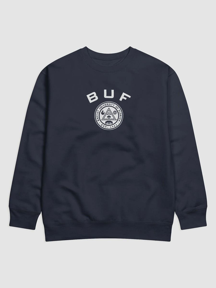 BUF ACADEMIC SWEATSHIRT product image (9)