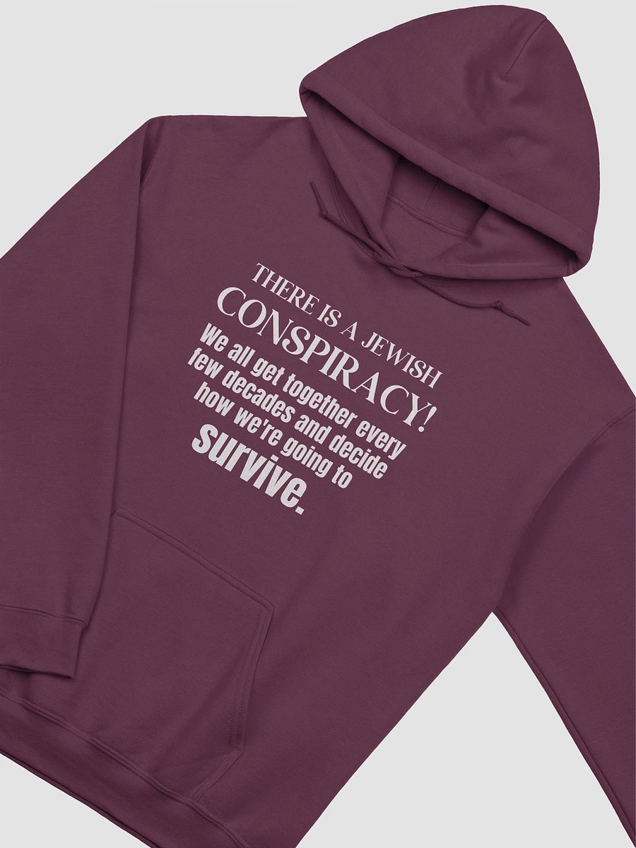 Jewish Conspiracy Hoodie product image (13)