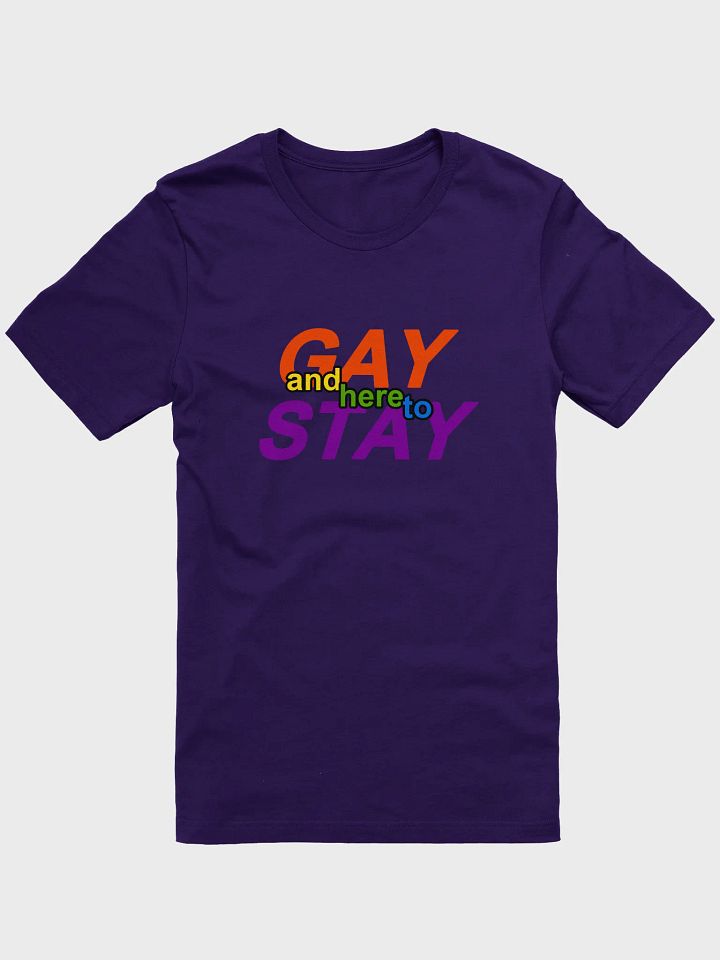 gay and here to stay (rainbow) t-shirt product image (1)