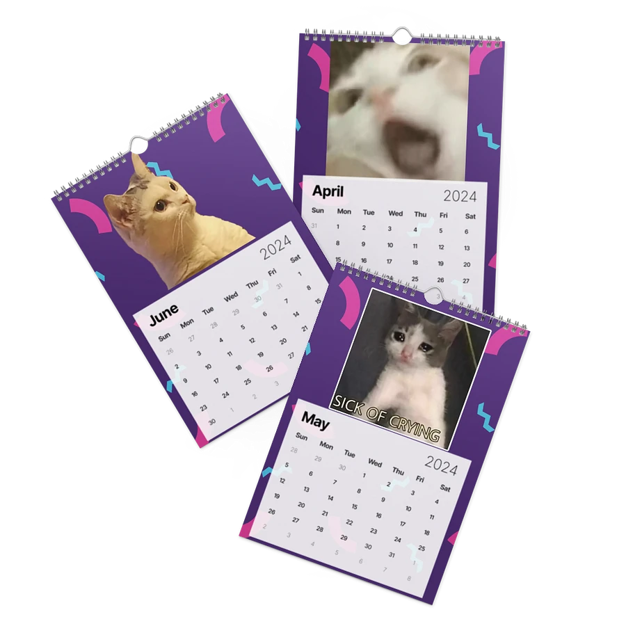 Wall Calendar (2024): Meme Cats product image (3)