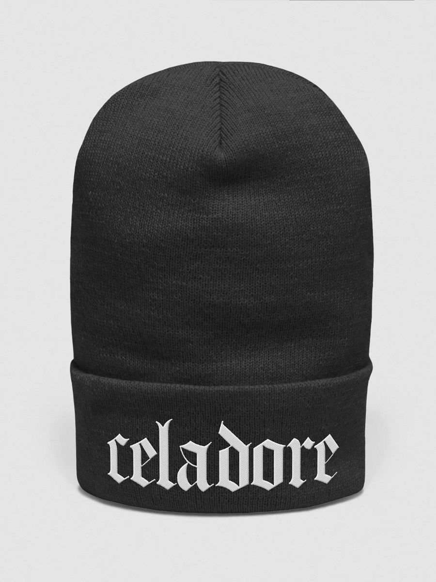 Celadore Beanie product image (2)