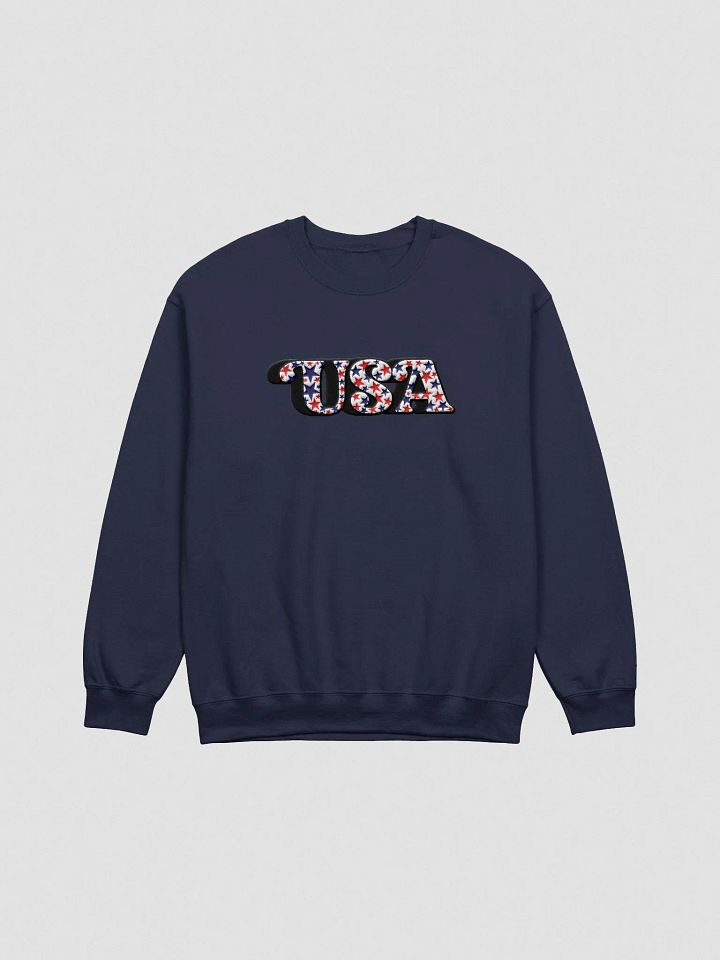 USA / SWEATSHIRT / EMBROIDERED product image (29)