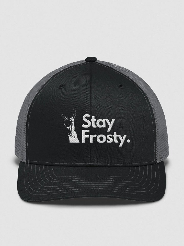 Stay Frosty! product image (6)