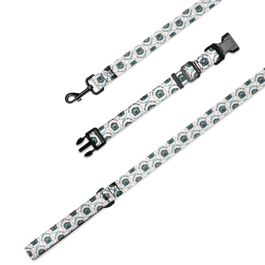 BBN Logo 2 Pet Collar & Leash Set product image (1)