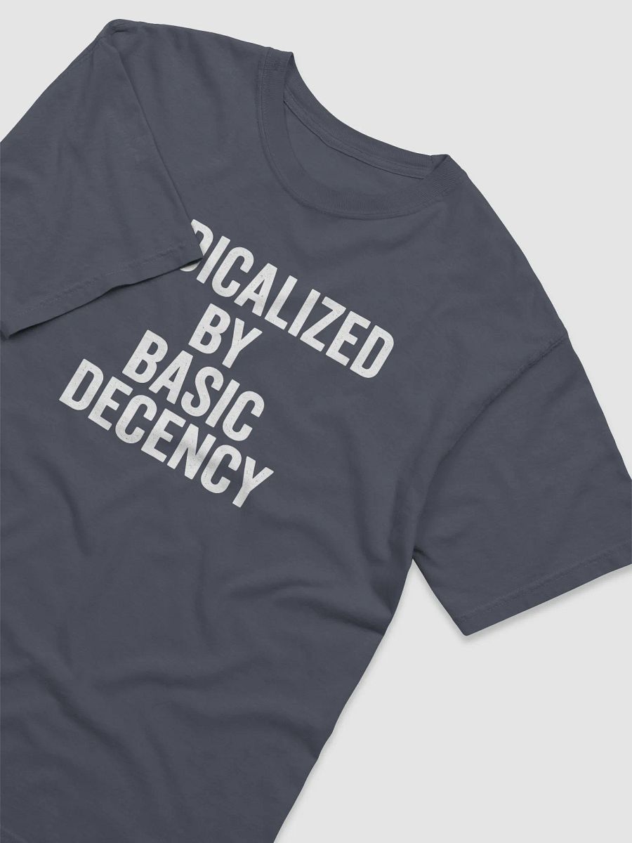 Radicalized Basic Decency T-Shirt product image (2)
