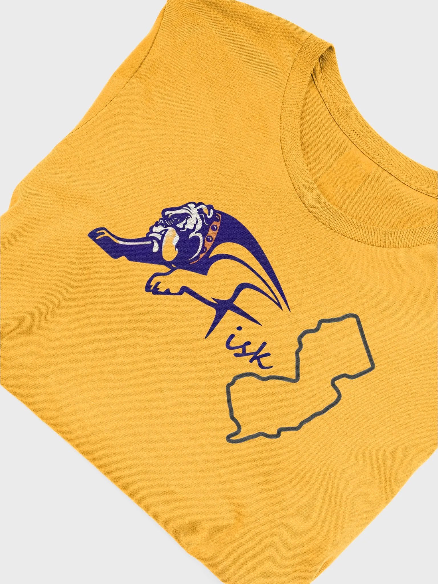 NJ Fisk Alumni Tee product image (5)