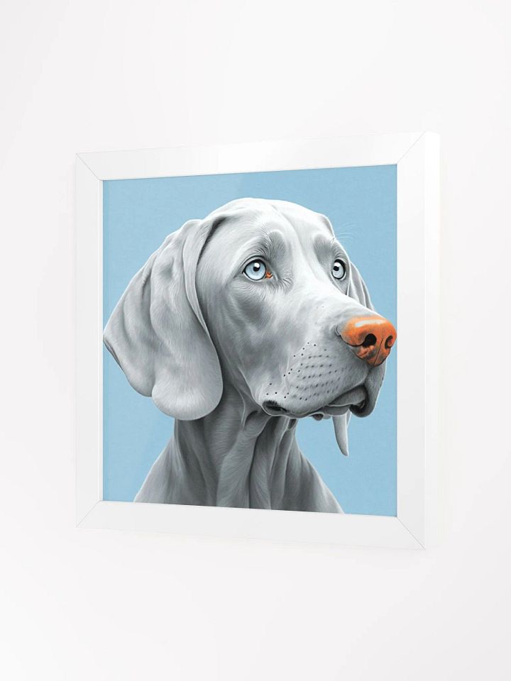 SkyGaze Weim product image (4)