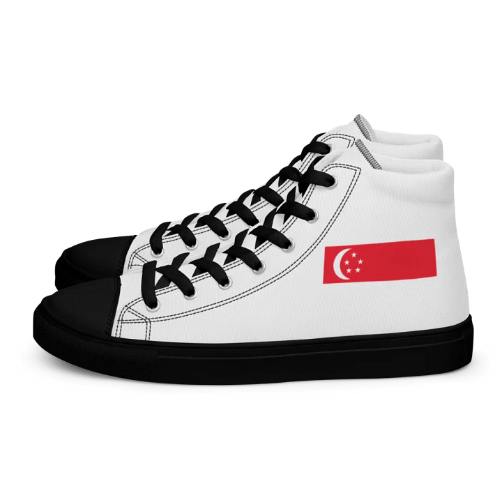 singapore product image (1)
