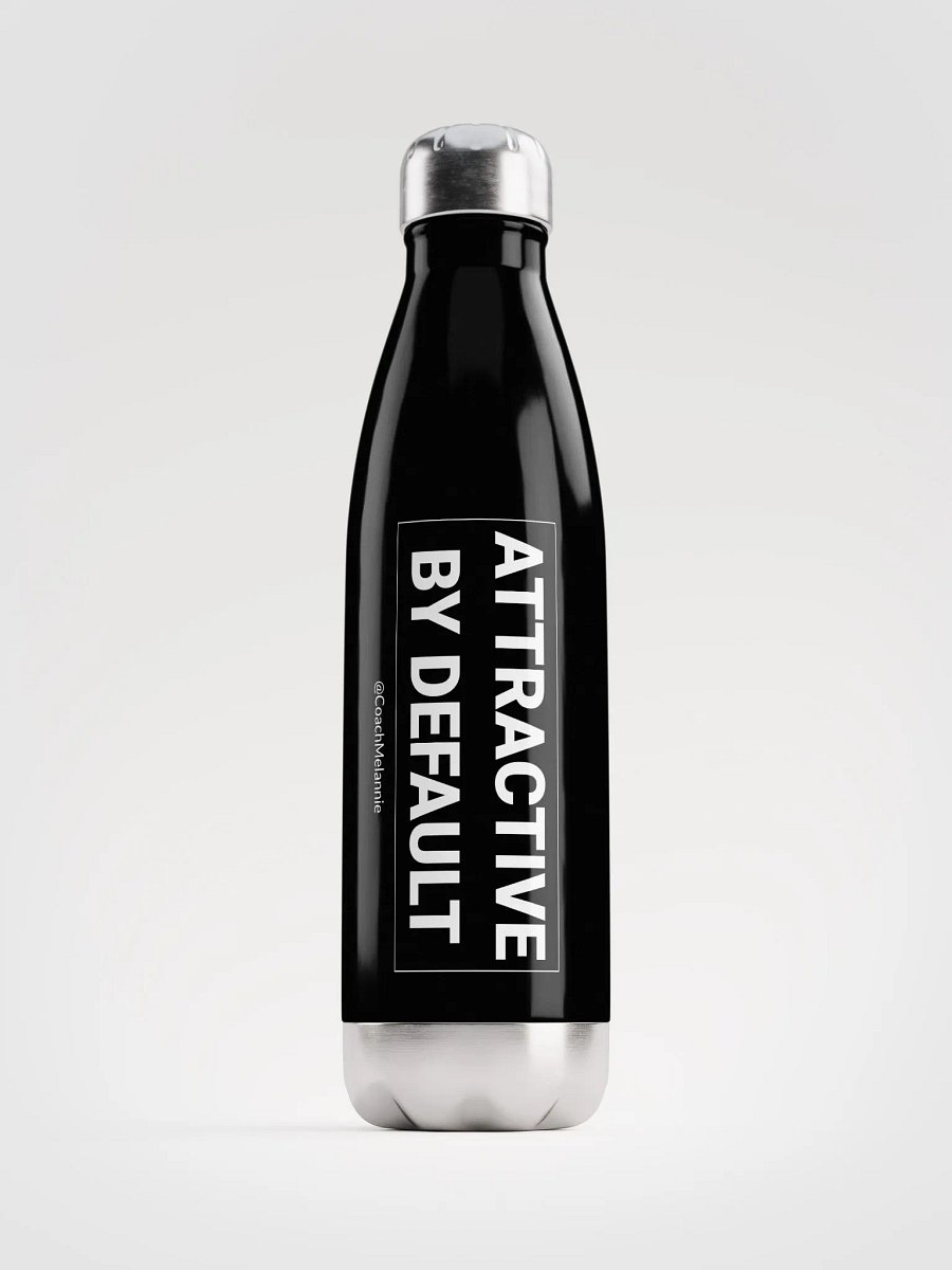 Attractive By Default – 17 oz Insulated Water Bottle (Black) product image (1)