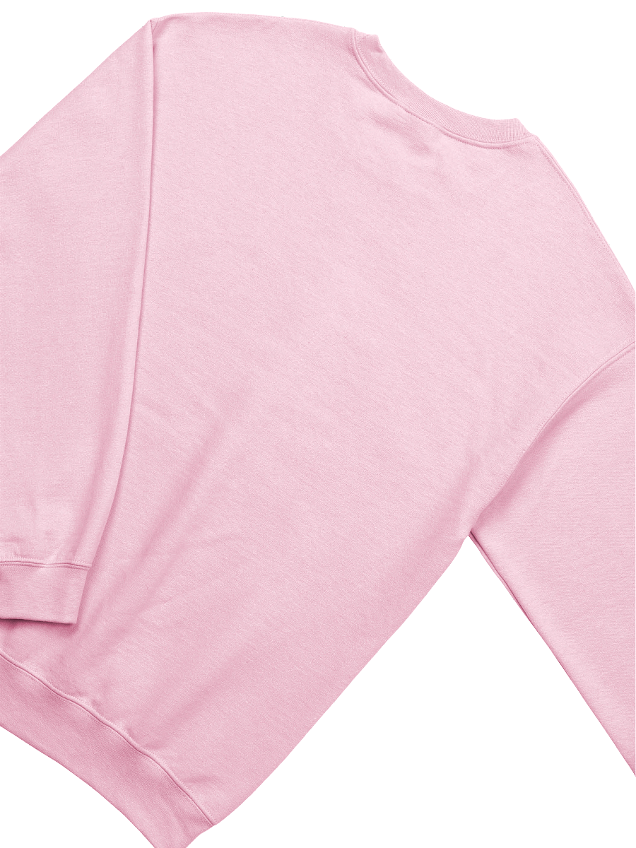 Winged USA Crewneck Sweatshirt product image (4)