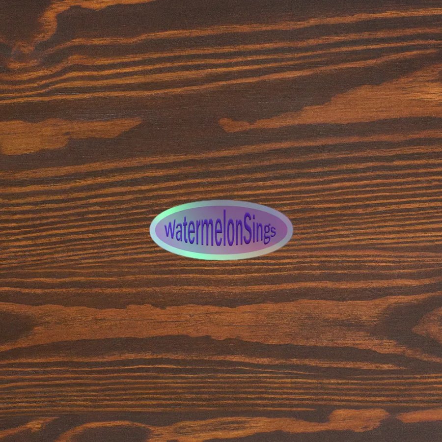 WatermelonSings Holographic Logo product image (5)