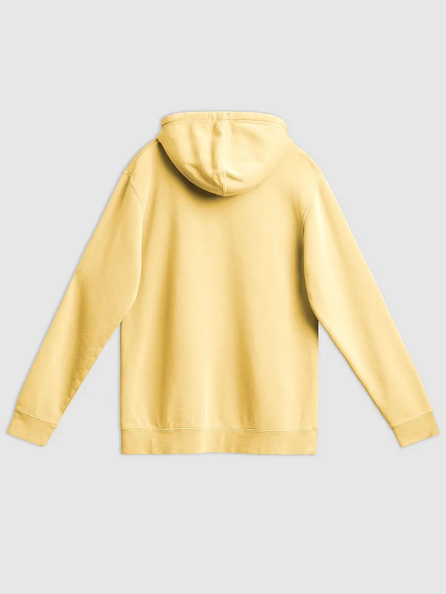 Whimsical Campfire Squirrel Hoodie product image (2)