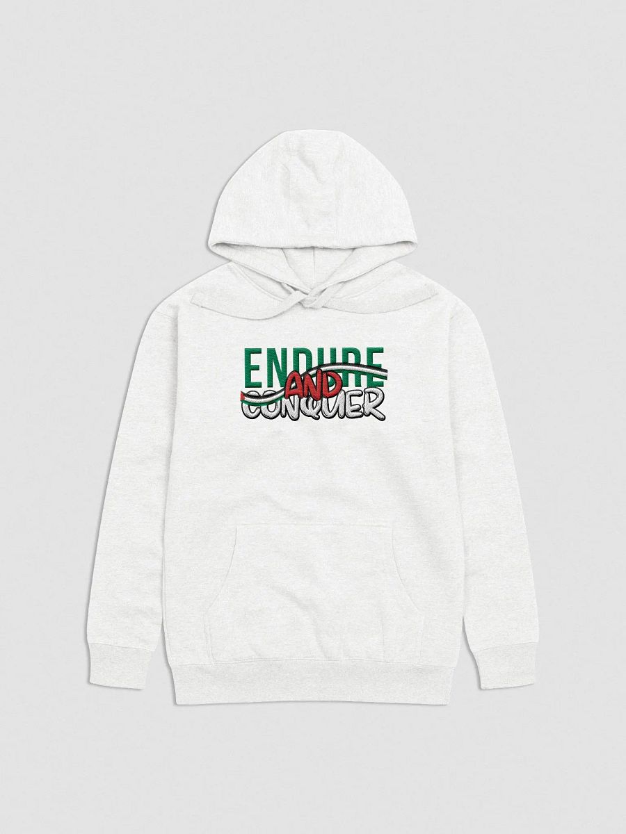 Endure & Conquer Embroidered Hoodie product image (3)