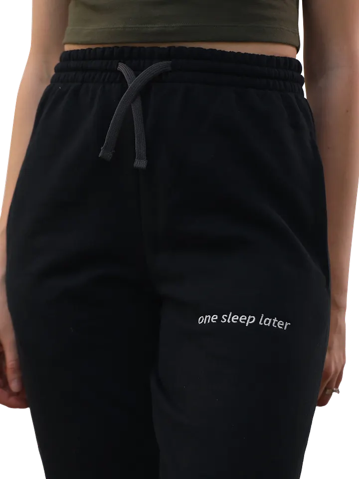 One Sleep Later Embroidered Joggers product image (2)