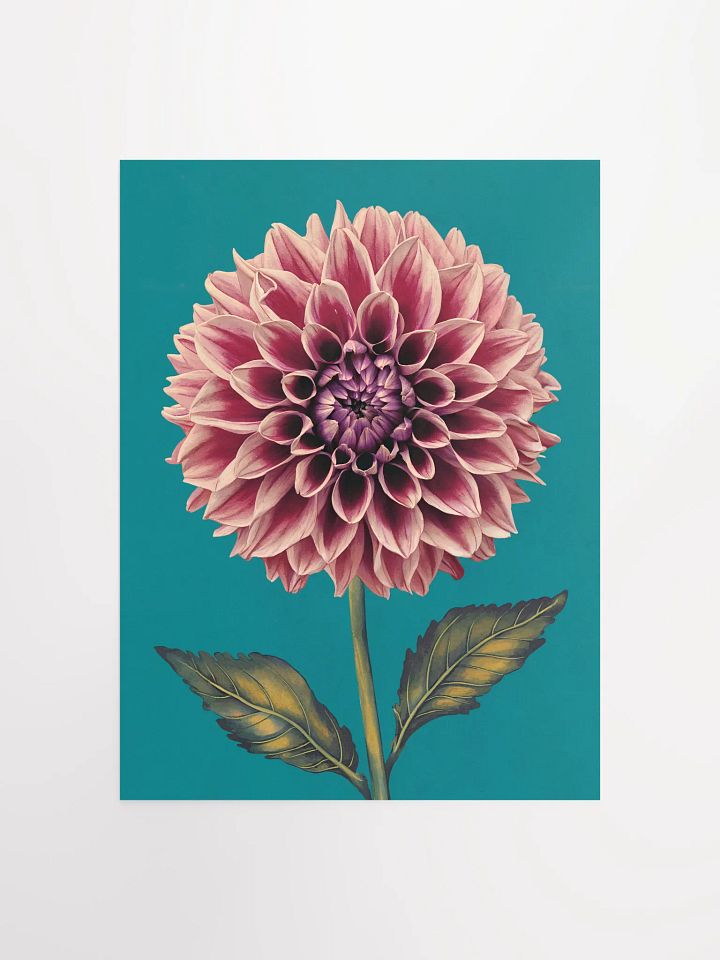 Dahlia Print product image (4)