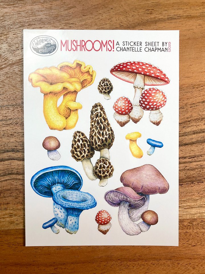 Mushrooms! Sticker Sheet product image (2)