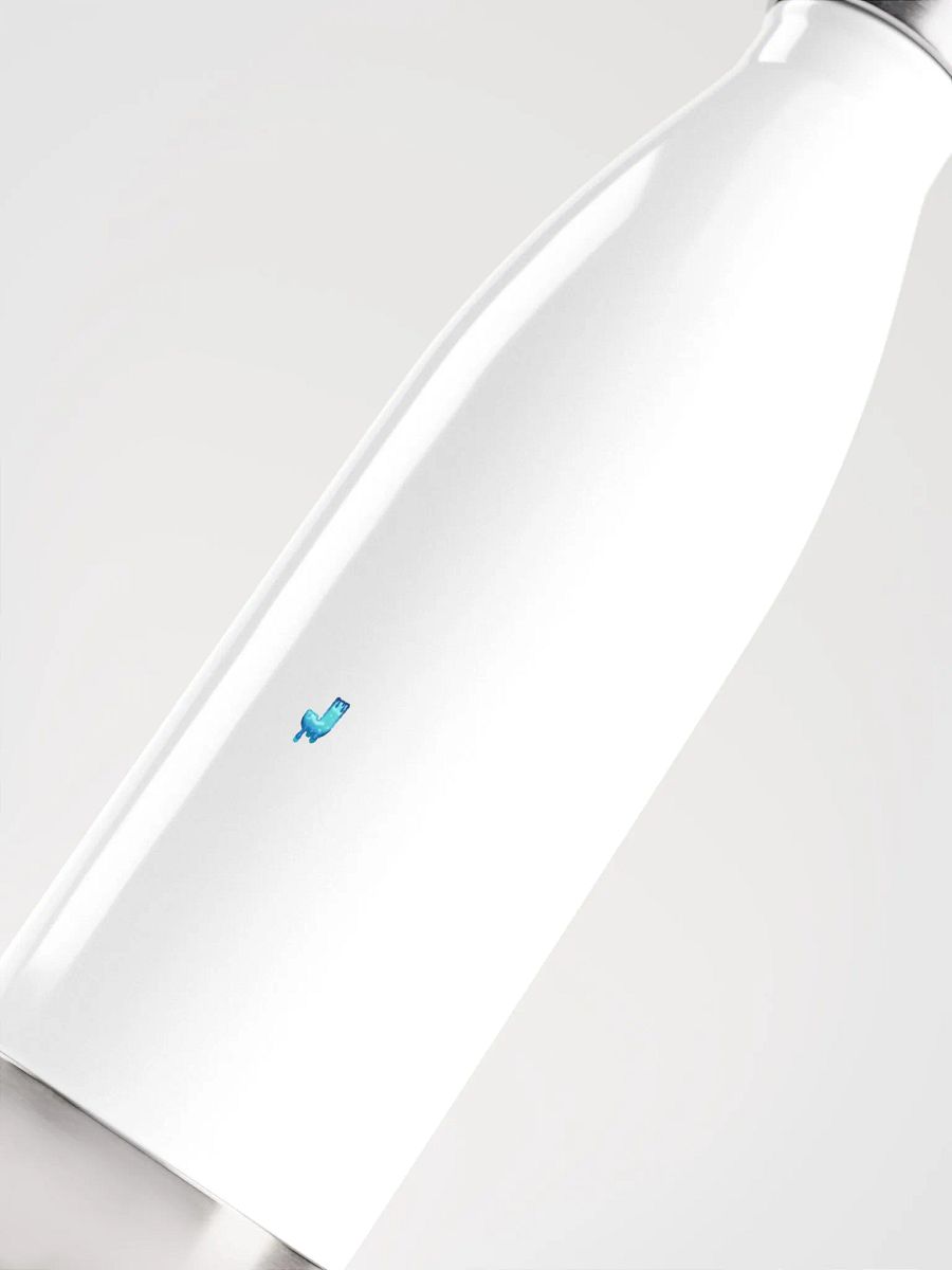 Insulated Stainless Steel Water Bottle product image (5)