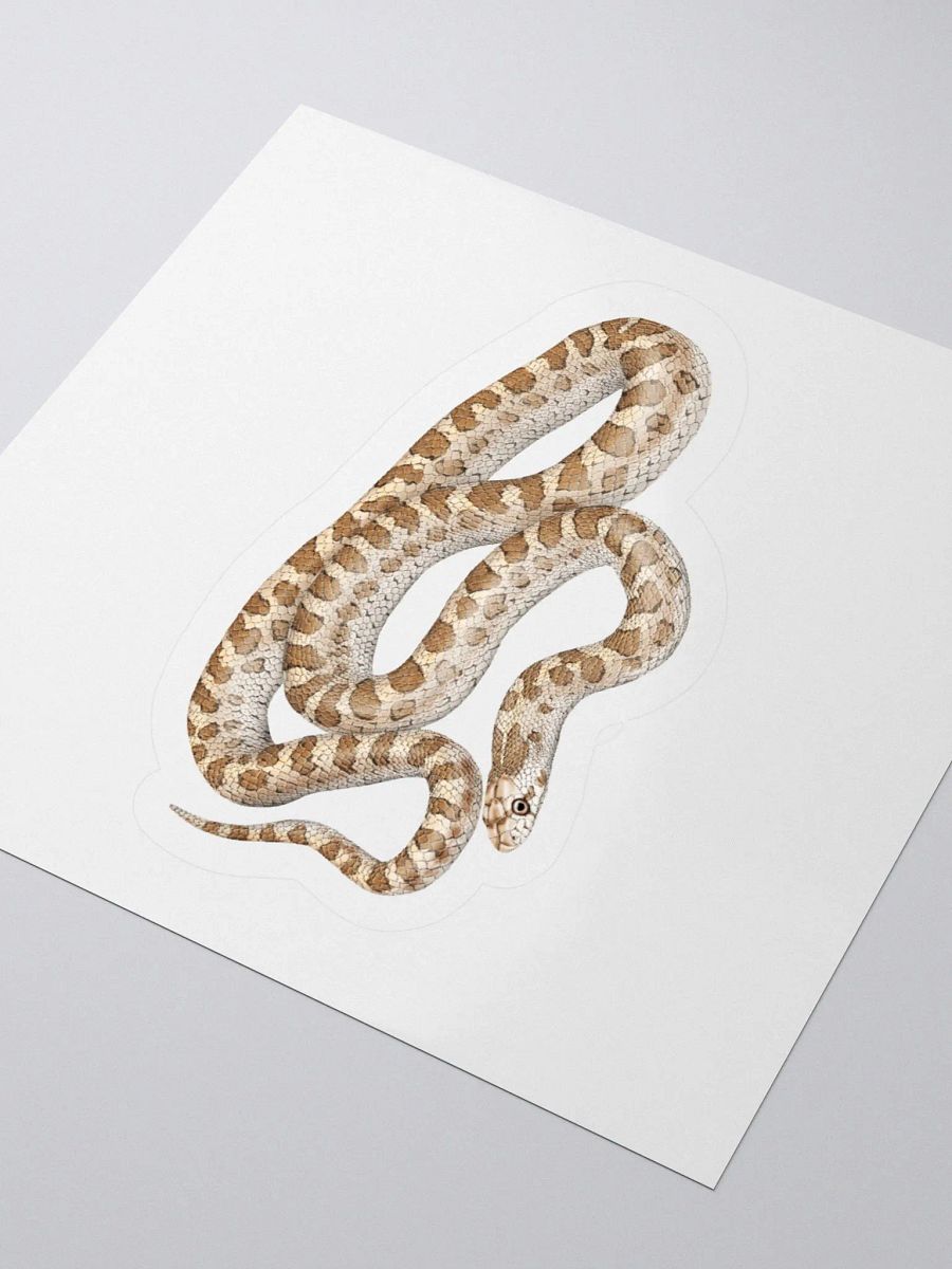 Die-Cut Sticker – Glossy Snake product image (7)