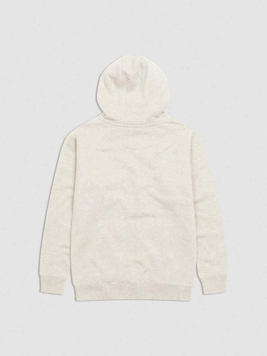 FALLING INTO JUPITER HOODIE EMBROIDERED product image (3)