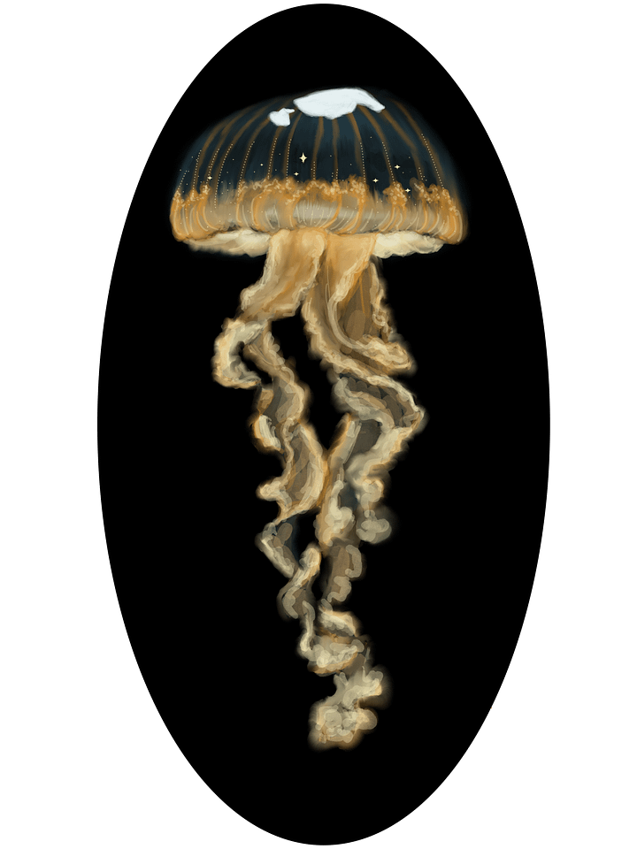 Jellyfish Sticker product image (1)