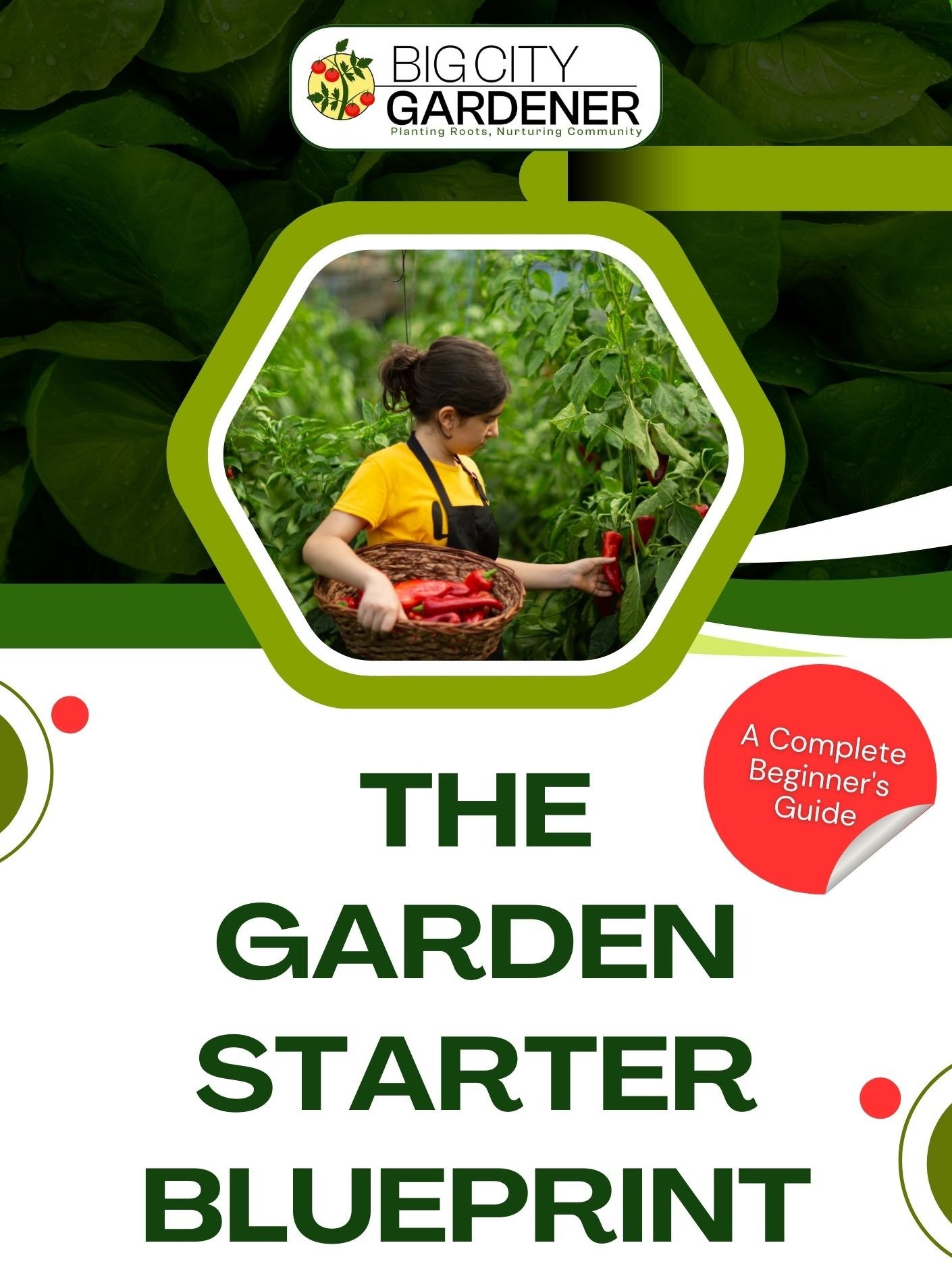 The Garden Starter Blueprint product image (1)