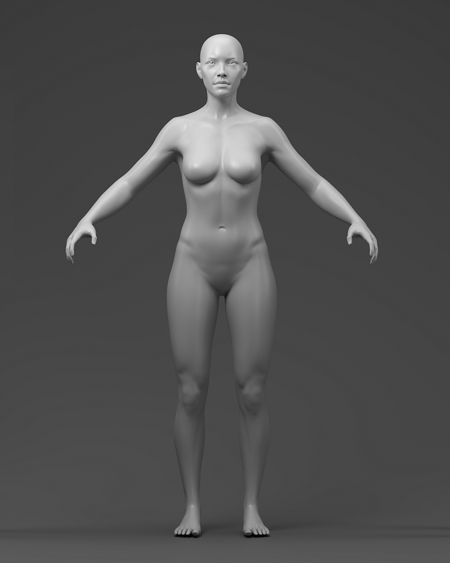 Basemesh Kit product image (5)