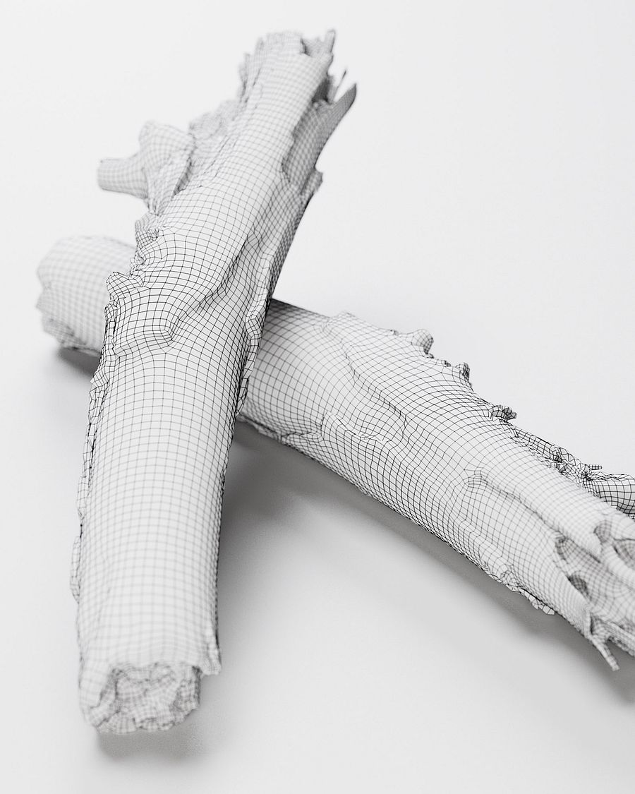 Wooden Stick 01 - 3D Scan product image (2)