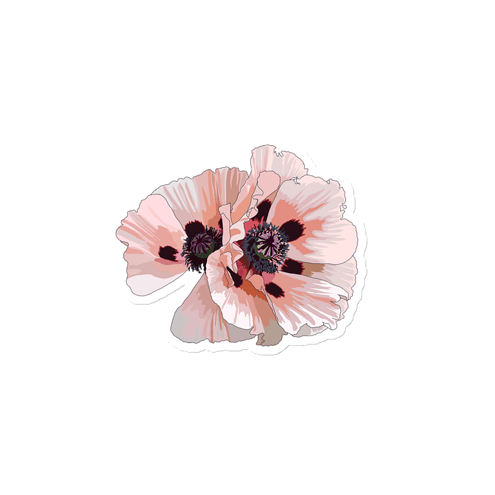 Pink poppy magnet product image (2)