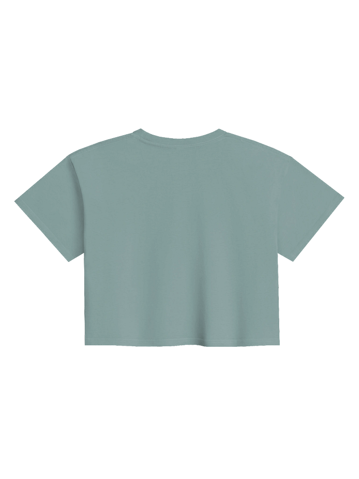 National Park Series Tee - Denali product image (2)