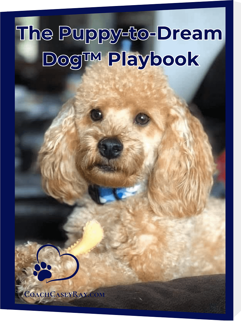 The Puppy-to-Dream Dog™ Playbook
