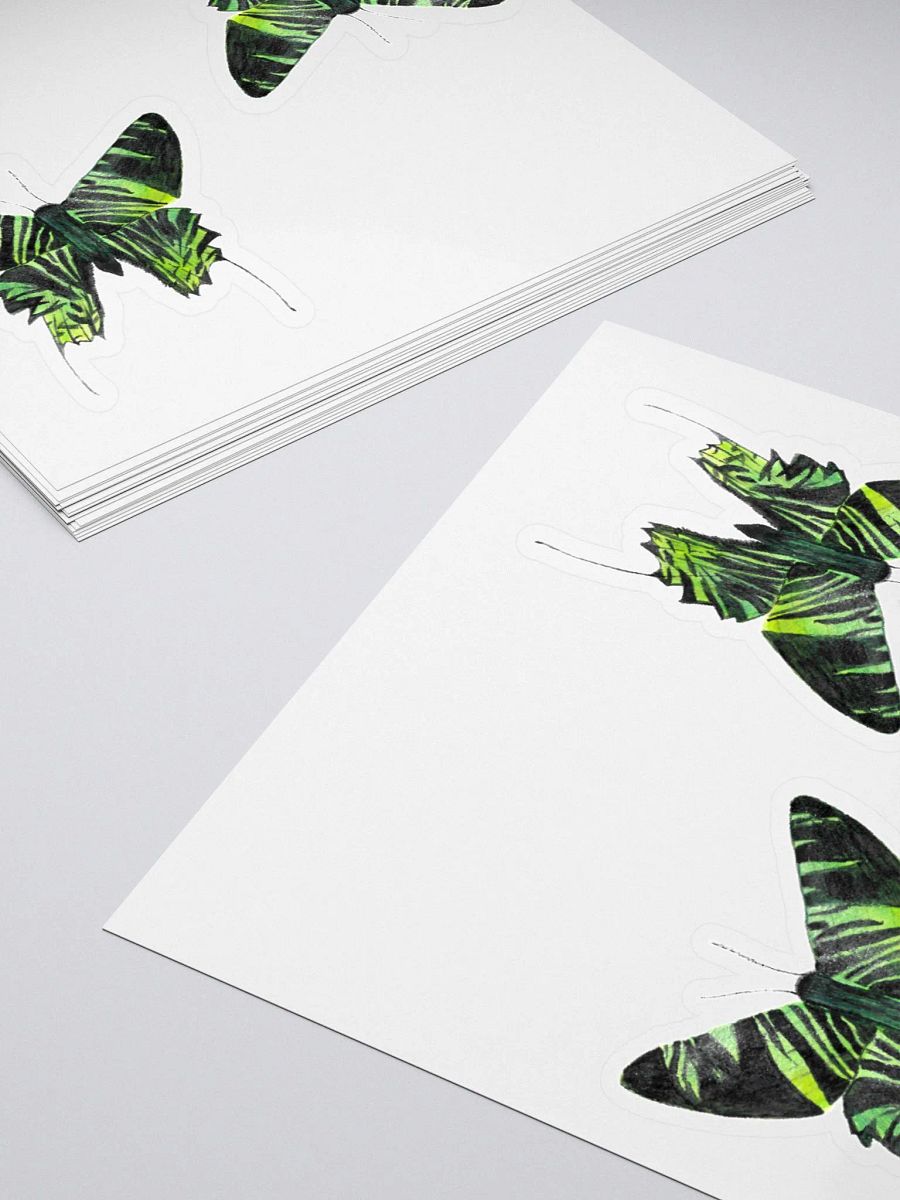 Green Banded Urania Moth product image (4)