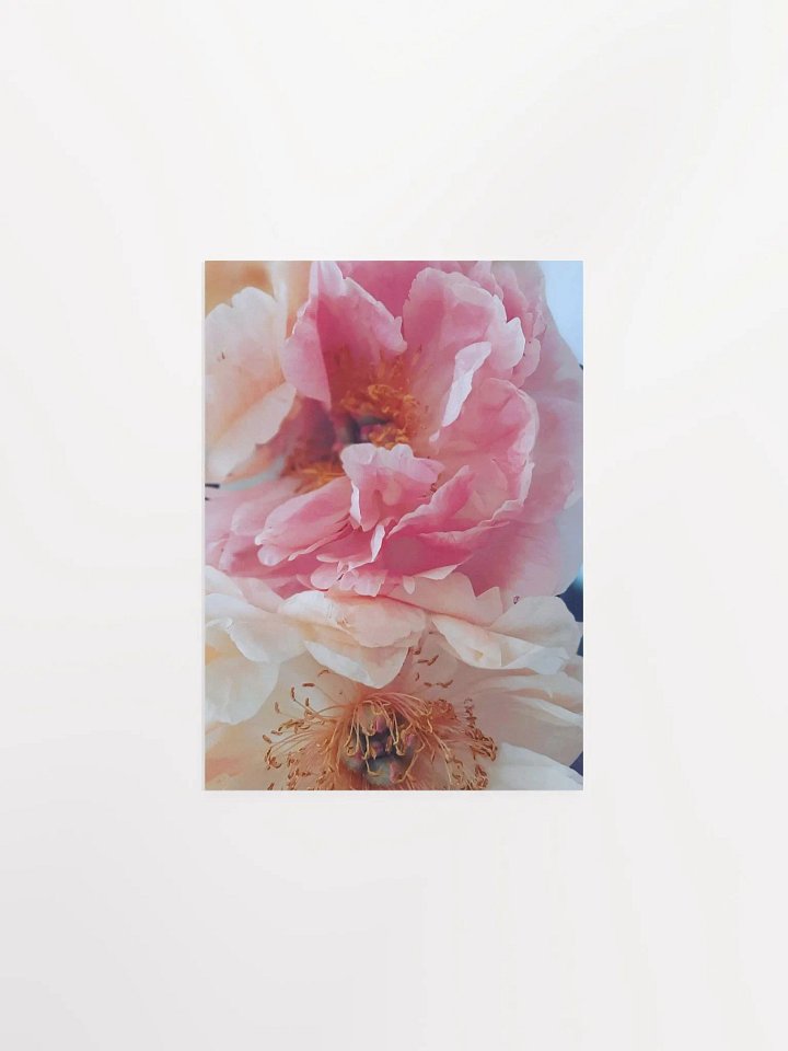 Elegant Flower Blossoms Poster product image (1)