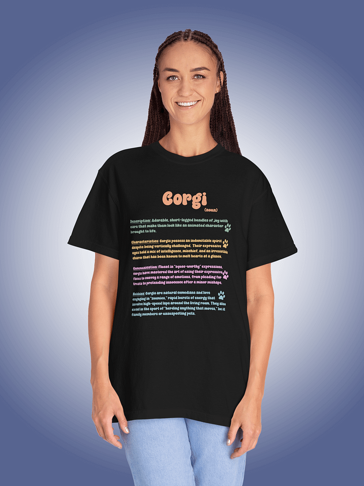 Definition of a Corgi product image (1)