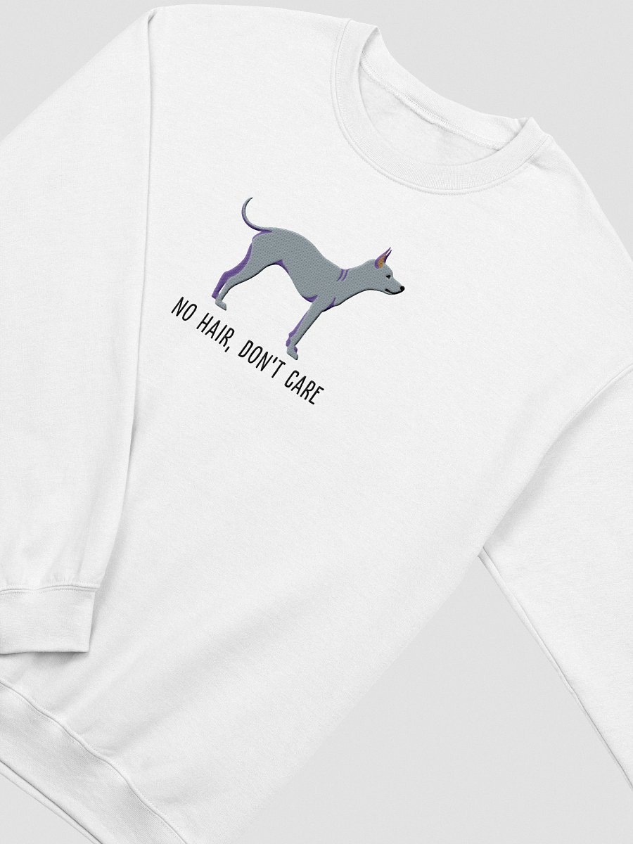 No Hair, Don't Care Sweatshirt (Embroidered) of an American Hairless Terrier(Blue) product image (18)