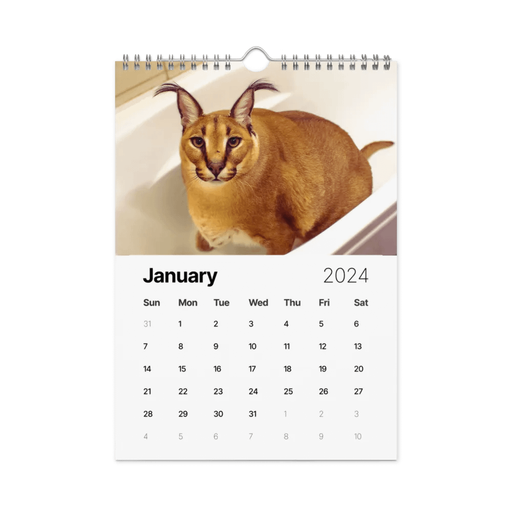 FLOPPA CALENDAR FOR 2024 product image (3)
