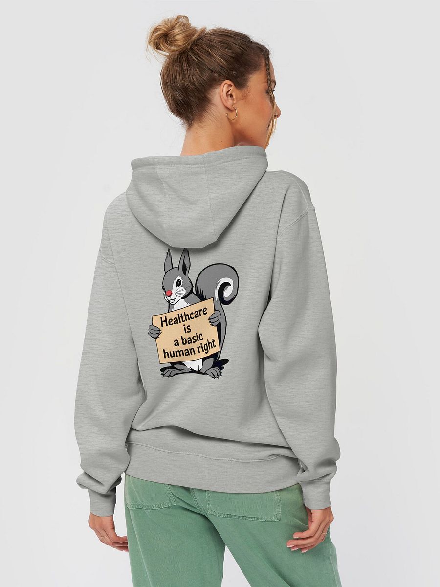 Premium, super soft Hoodie: Healthcare is a basic human right, Pooky with Sign product image (4)
