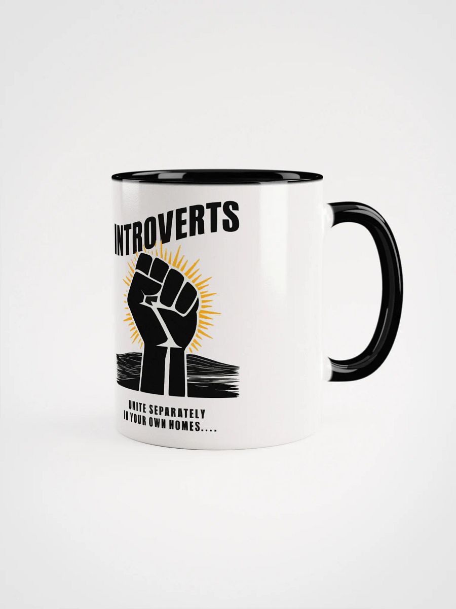 Solidarity Within product image (1)