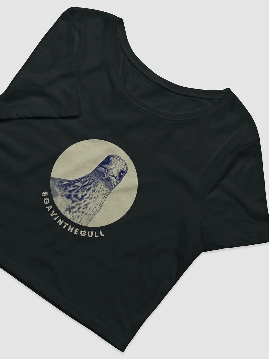 Gavin the Gull Crop Baby Tee product image (6)