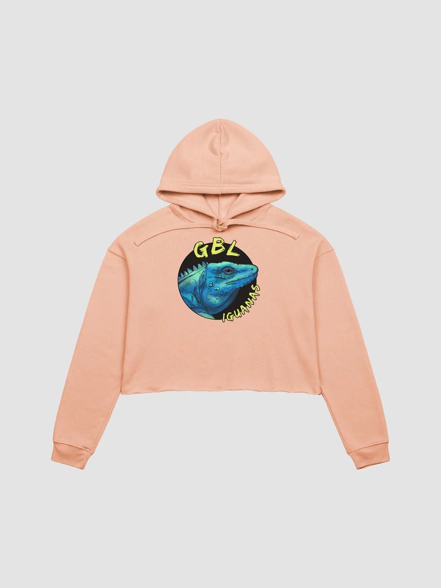 Women's Crop Hoodie product image (2)